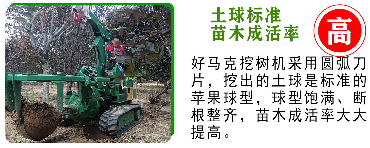 好马克蘑菇成人电影