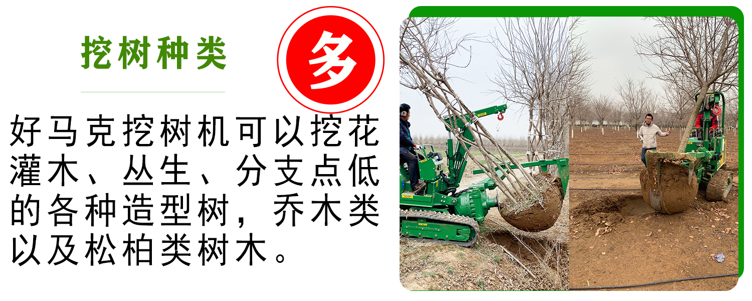 好马克蘑菇成人电影