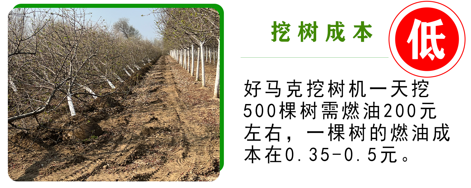 好马克蘑菇成人电影