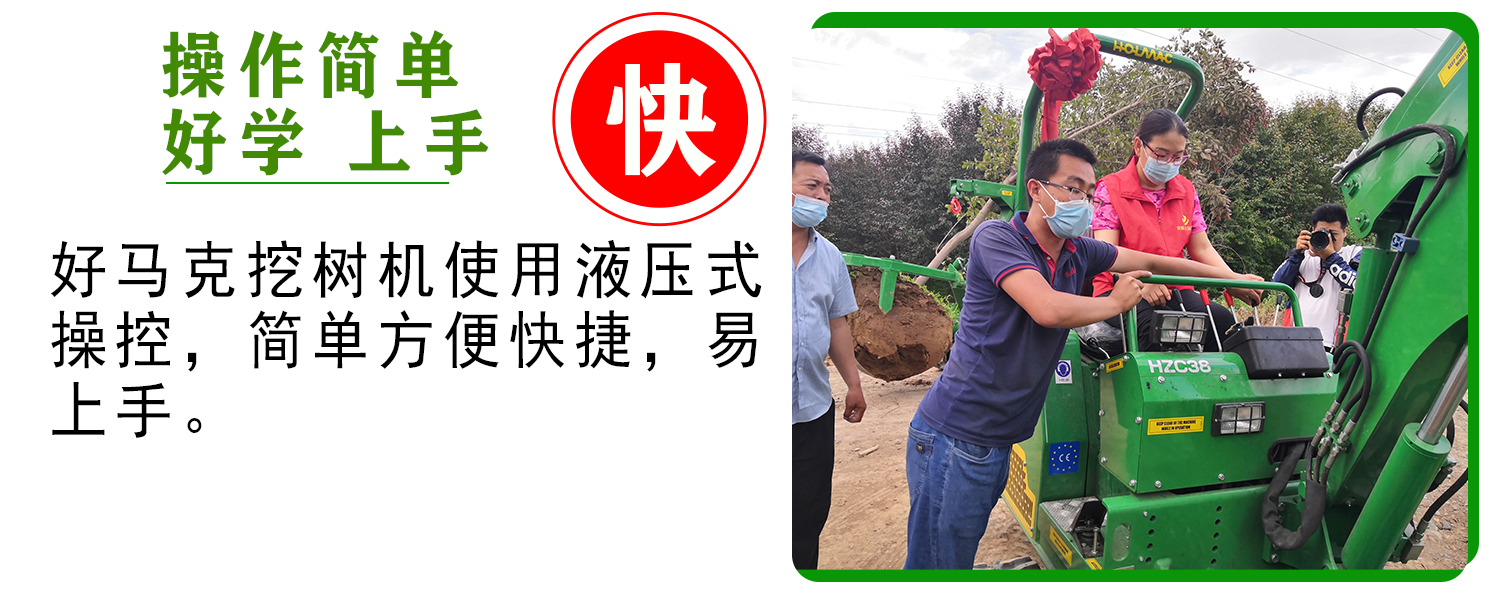好马克蘑菇成人电影