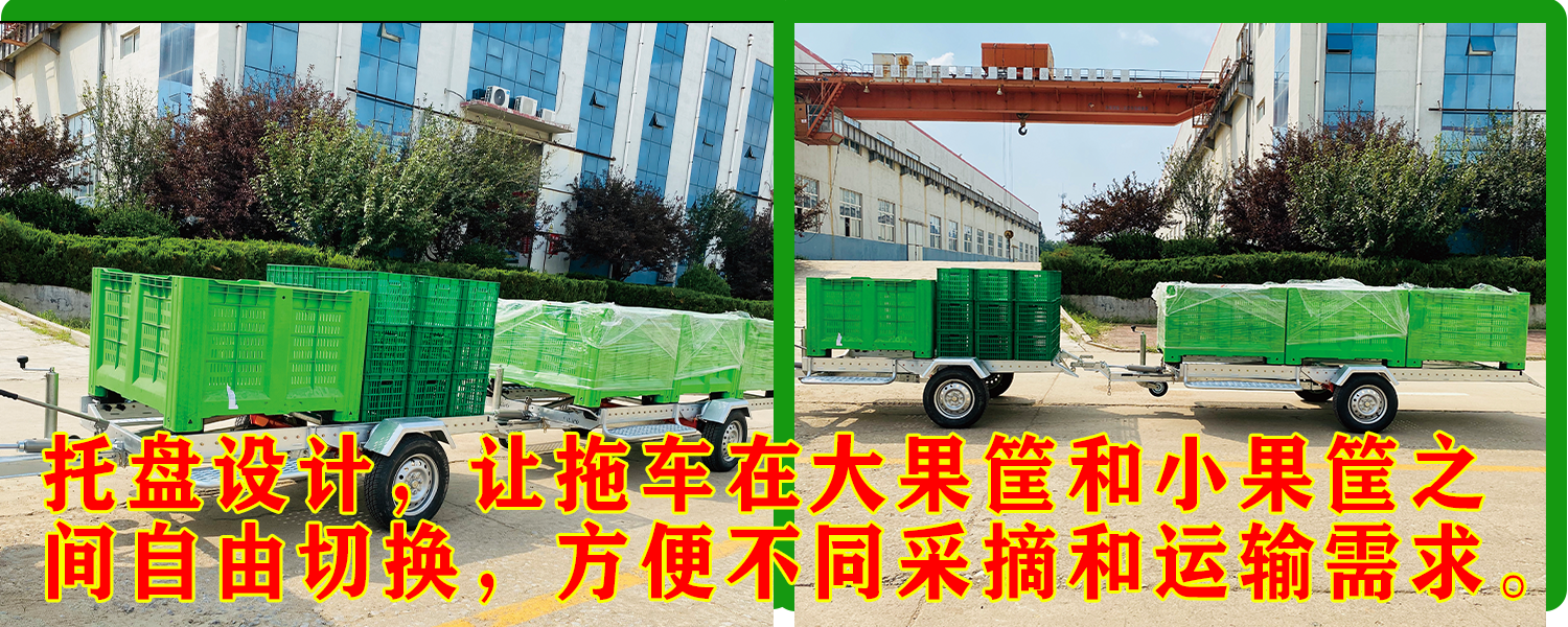 果园运输蘑菇视频在线免费播放