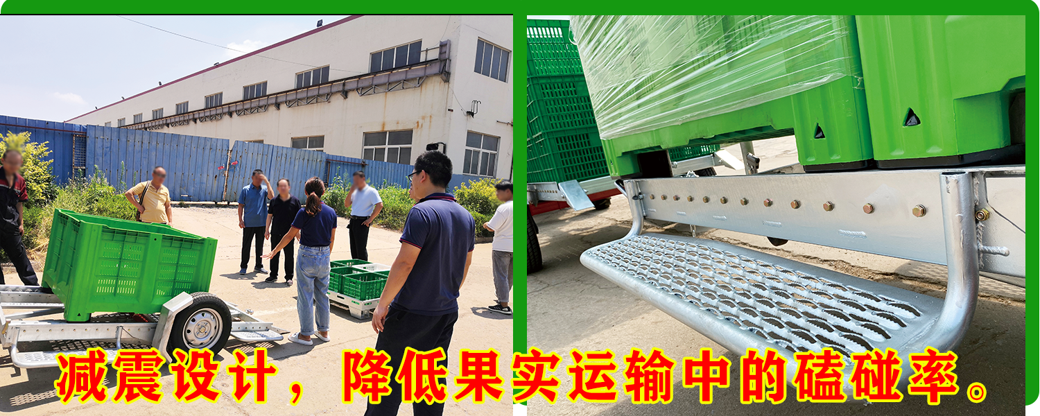 果园运输蘑菇视频在线免费播放