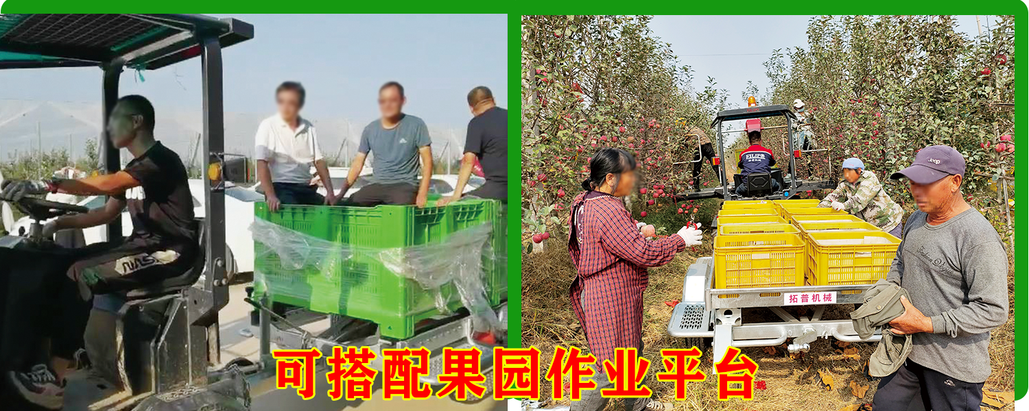 果园运输蘑菇视频在线免费播放